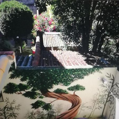 Suite Oisivete Avec Terrasse Vue Sur Patio Et Clim Montpellier Dış mekan fotoğraf